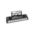 Orga Electronica cu 61 de Clape si Intrare USB, MQ-6119